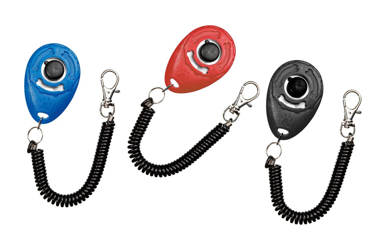 Speed Clicker